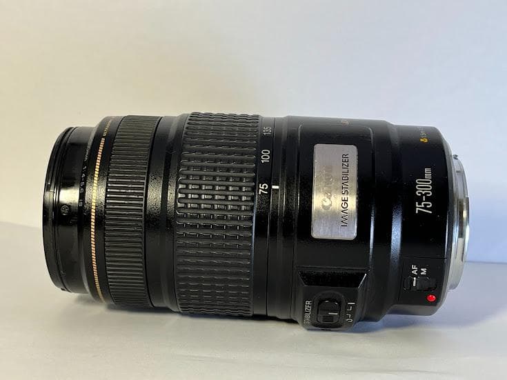 ★美品★ キヤノン EF 75-300mm F4-5.6 IS USM