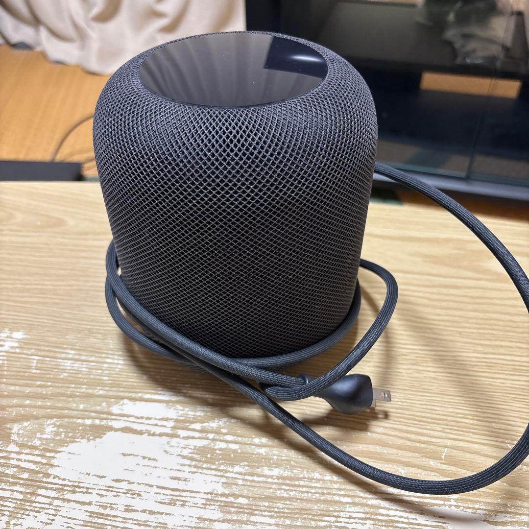 スピーカー・ウーファー Apple Pod black