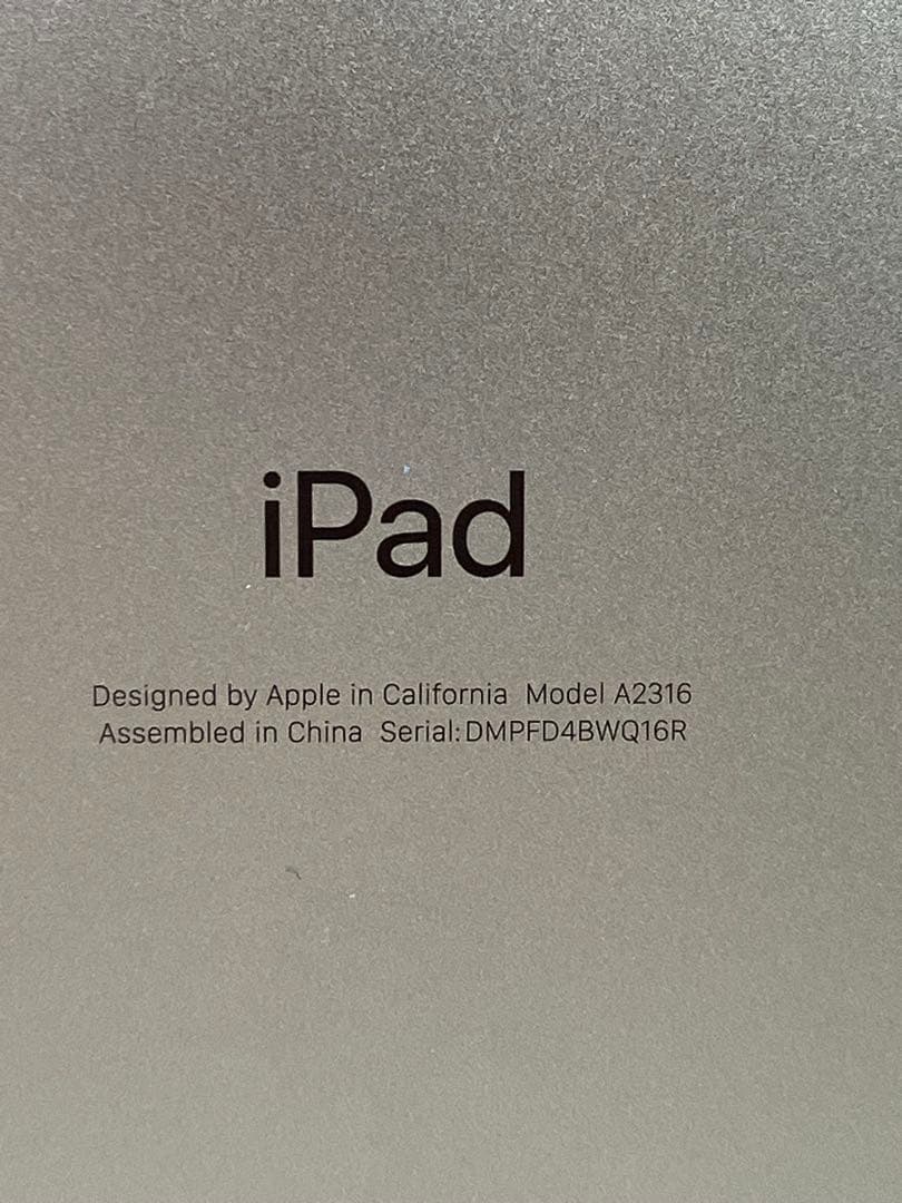 Apple iPad Air (第4世代) 10.9インチ ミント