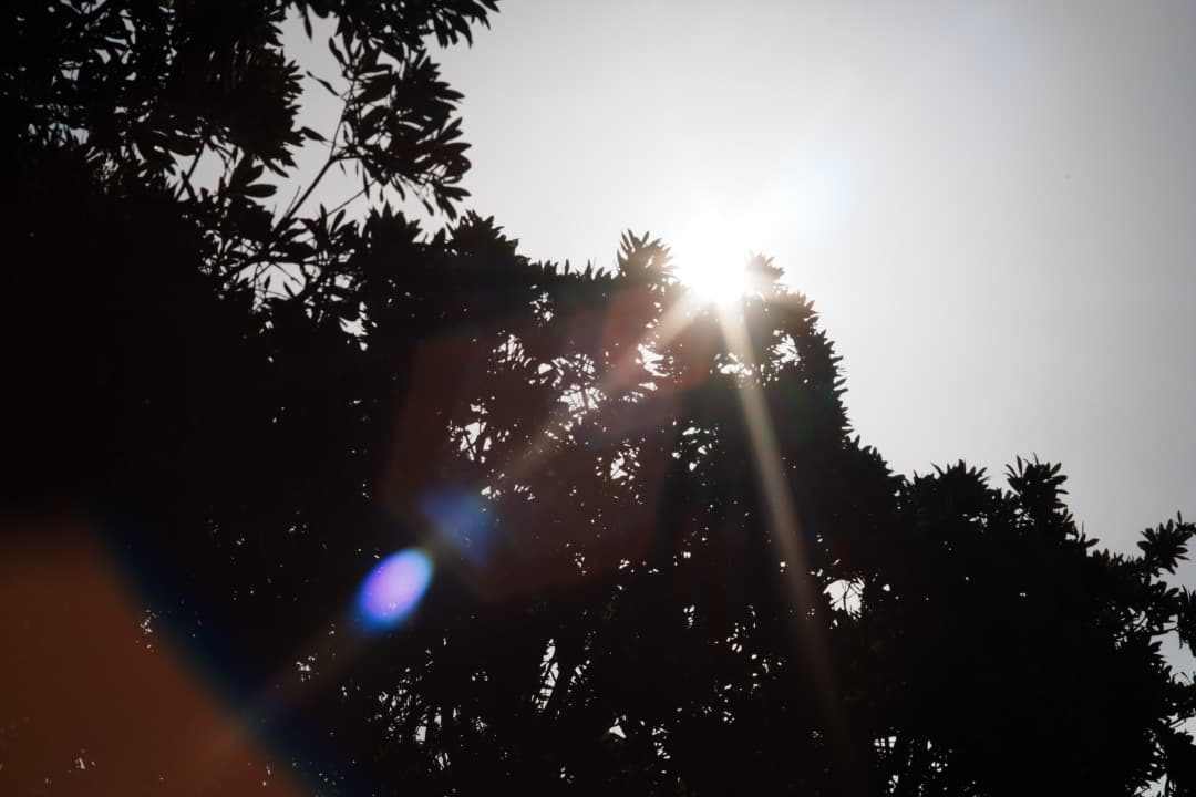 【虹ゴ】ミノルタ MC-ROKKOR PF 85mm F1.7 前 409