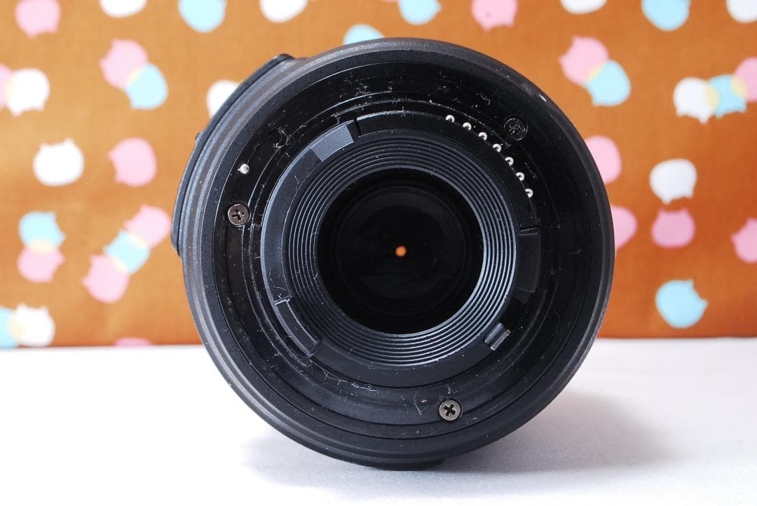 ✨初心者オススメ✨美品✨Nikon D3100 レンズセット