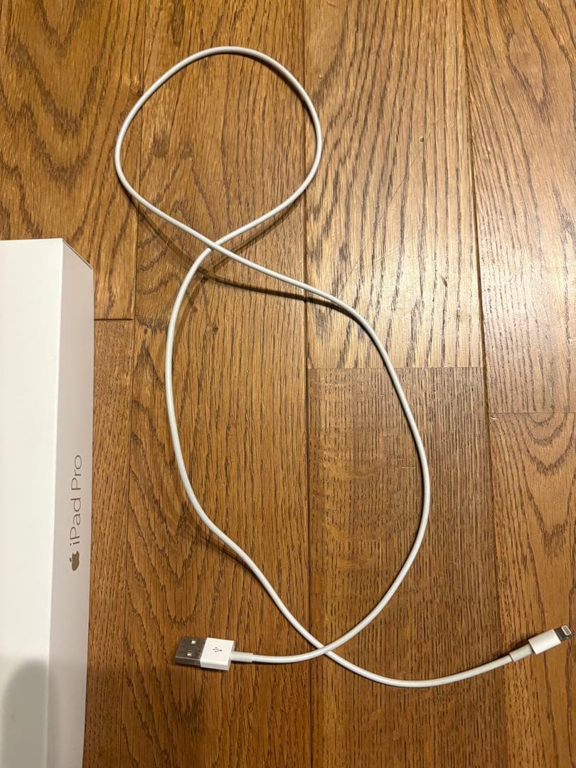 Apple iPad Pro 9.7インチゴールド本体