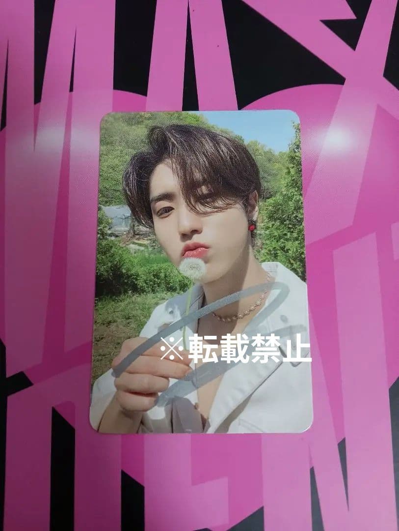 Straykids MAXIDENT US限定 直筆サイントレカ ハン