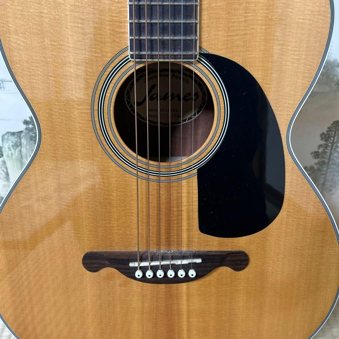James JF350NA トップ単板 アコースティックギター