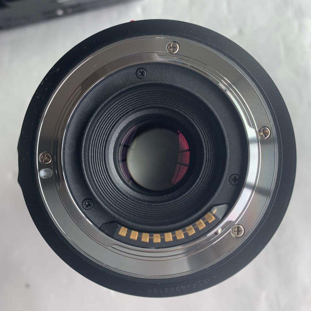 Panasonic パナソニック LUMIX DMC-L10K レンズキット