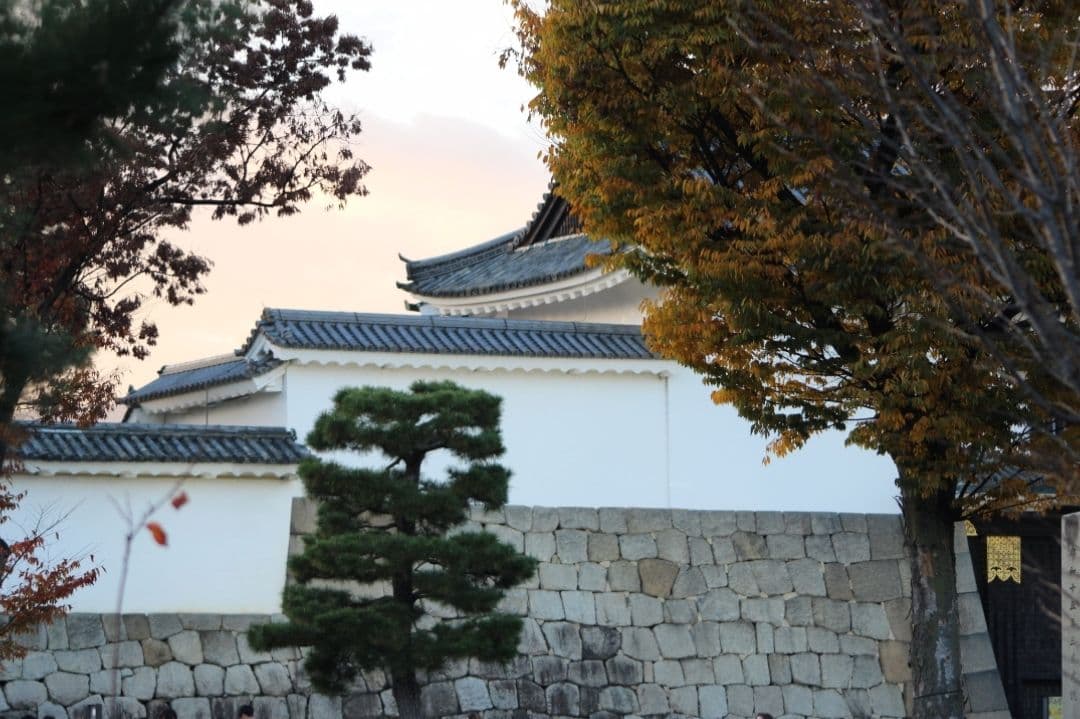 ❤即購入1000円OFF❤ Canon Kiss X7 単焦点 × 超望遠レンズ