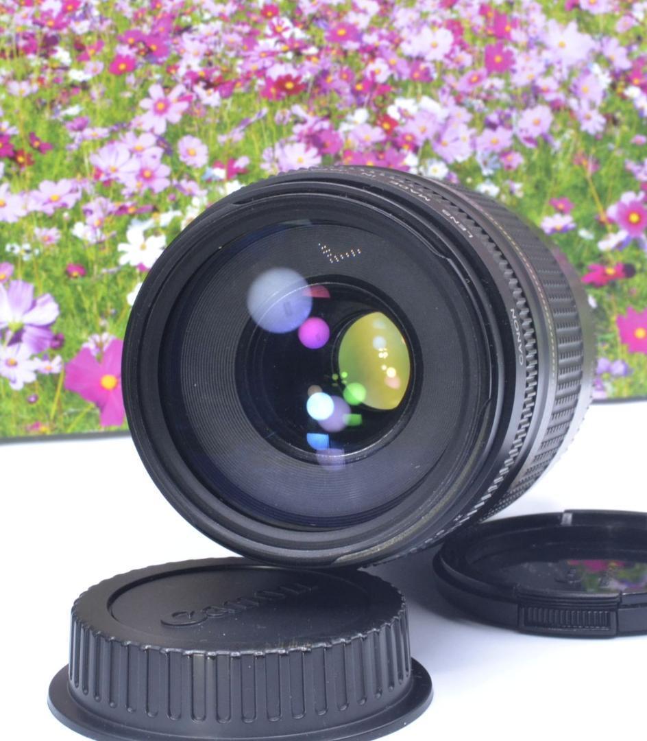 最高の瞬間を望遠で！ Canon キヤノン 望遠レンズ EF75-300mm