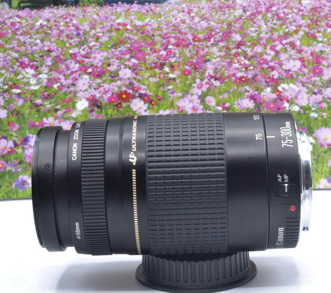 最高の瞬間を望遠で！ Canon キヤノン 望遠レンズ EF75-300mm