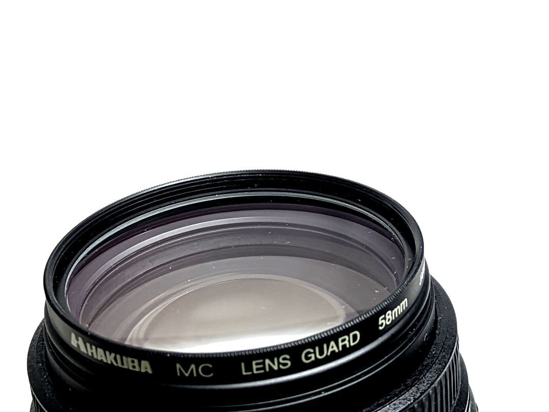 レンズ(ズーム) Nikon AFS DX NIKKOR 55-300mm 4.5-5.6G ED