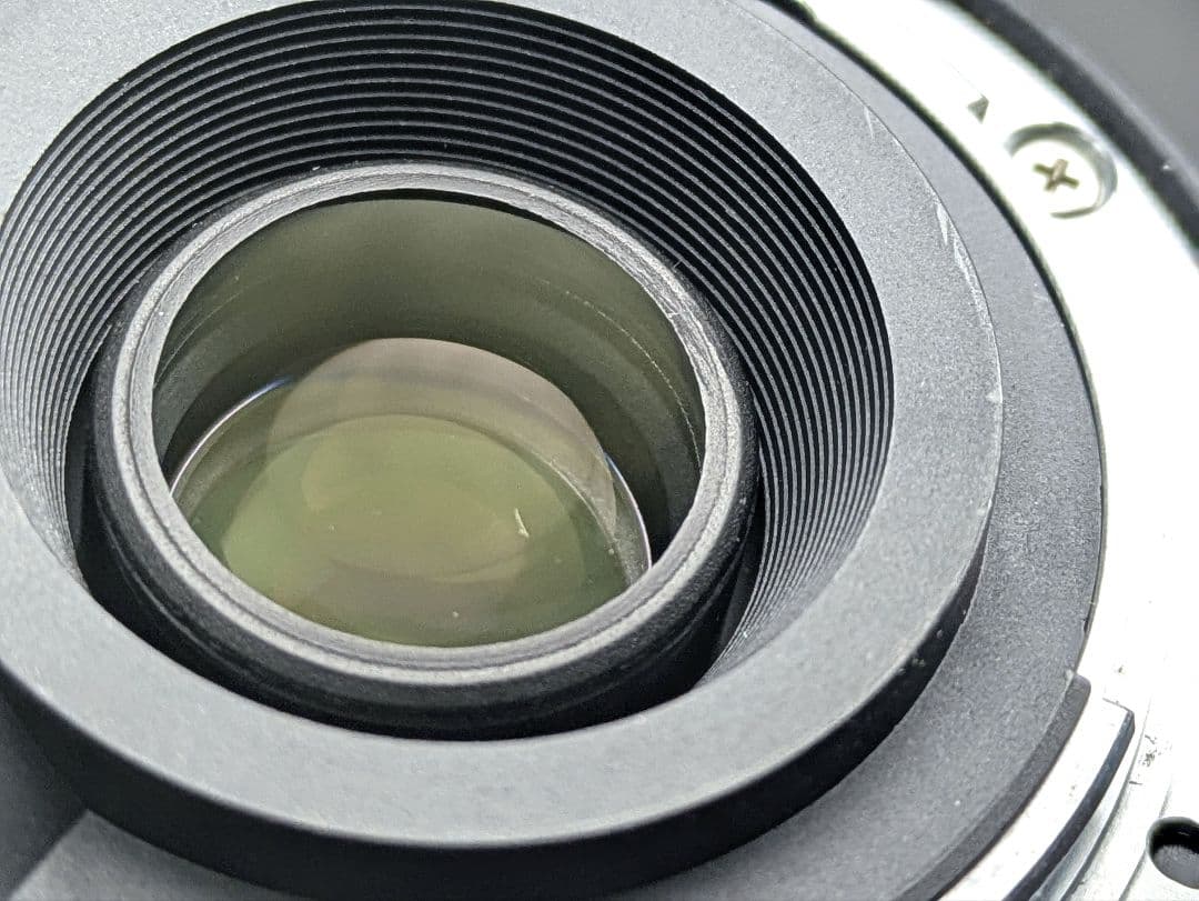 レンズ(ズーム) Nikon AFS DX NIKKOR 55-300mm 4.5-5.6G ED