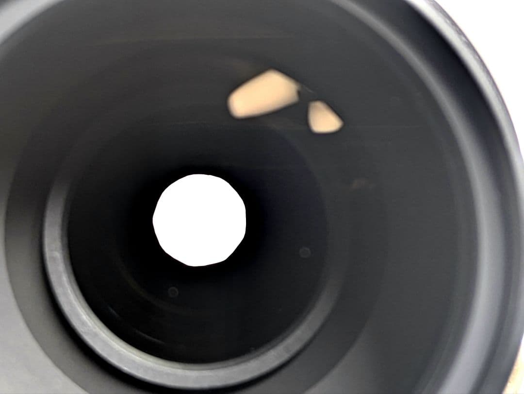 レンズ(ズーム) Nikon AFS DX NIKKOR 55-300mm 4.5-5.6G ED