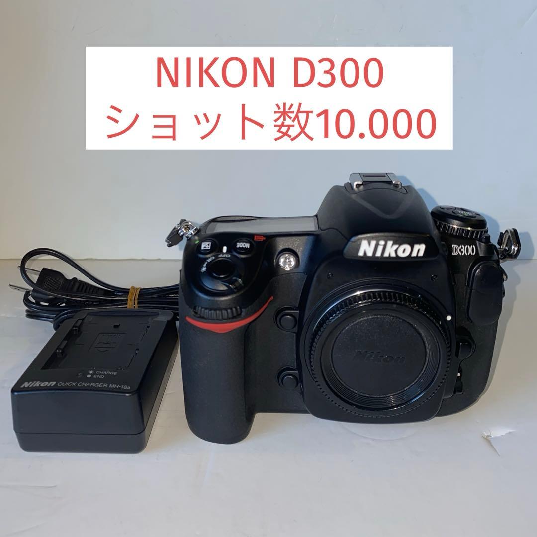 ひ*パ様 NIKON D300 ショット数10.000 ニコン