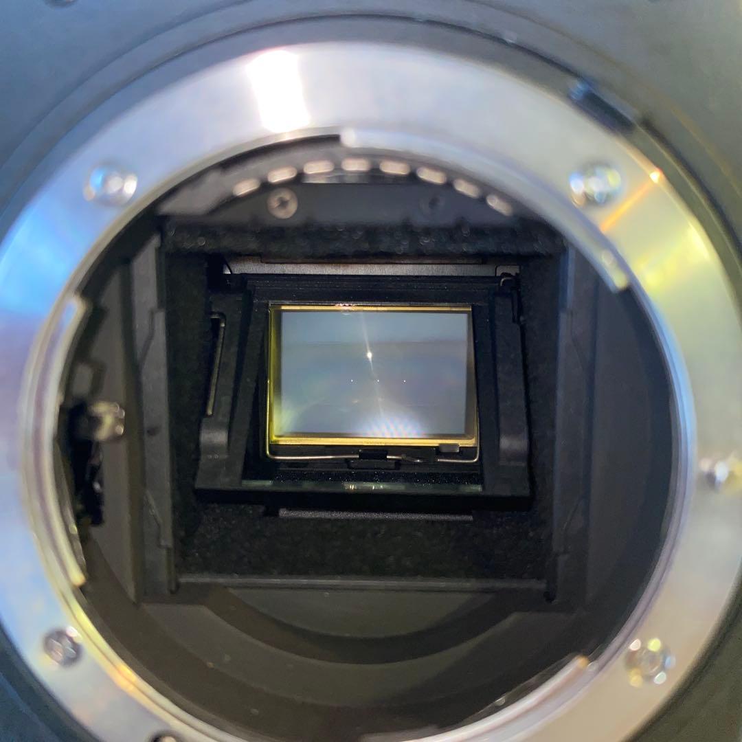 ひ*パ様 NIKON D300 ショット数10.000 ニコン