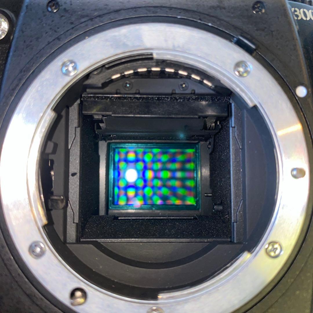 ひ*パ様 NIKON D300 ショット数10.000 ニコン