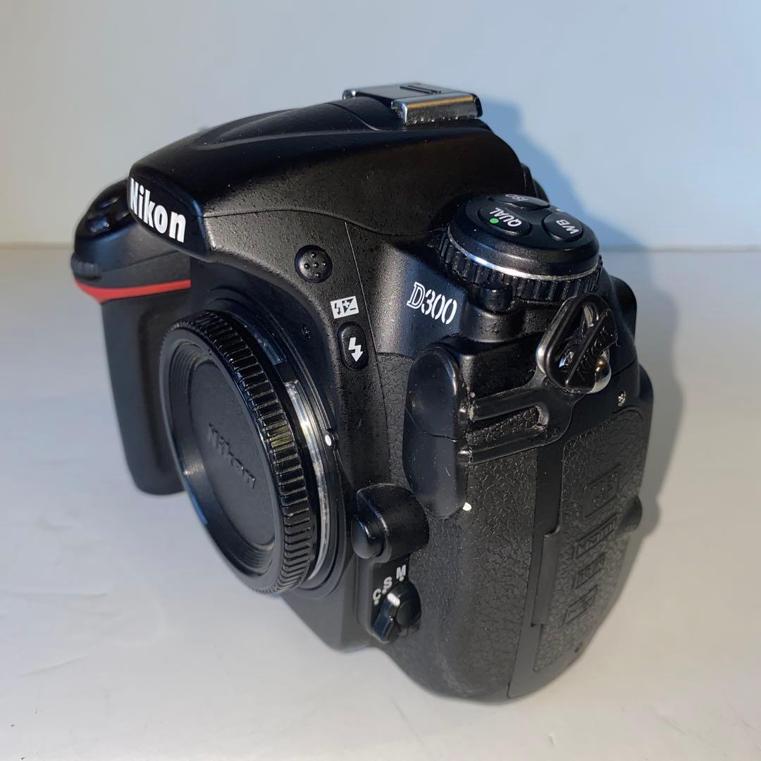 ひ*パ様 NIKON D300 ショット数10.000 ニコン