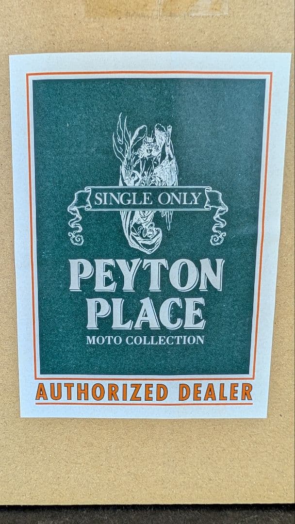 ペイトンプレイス ヘッドライトケース DP88-P メッキ SR400