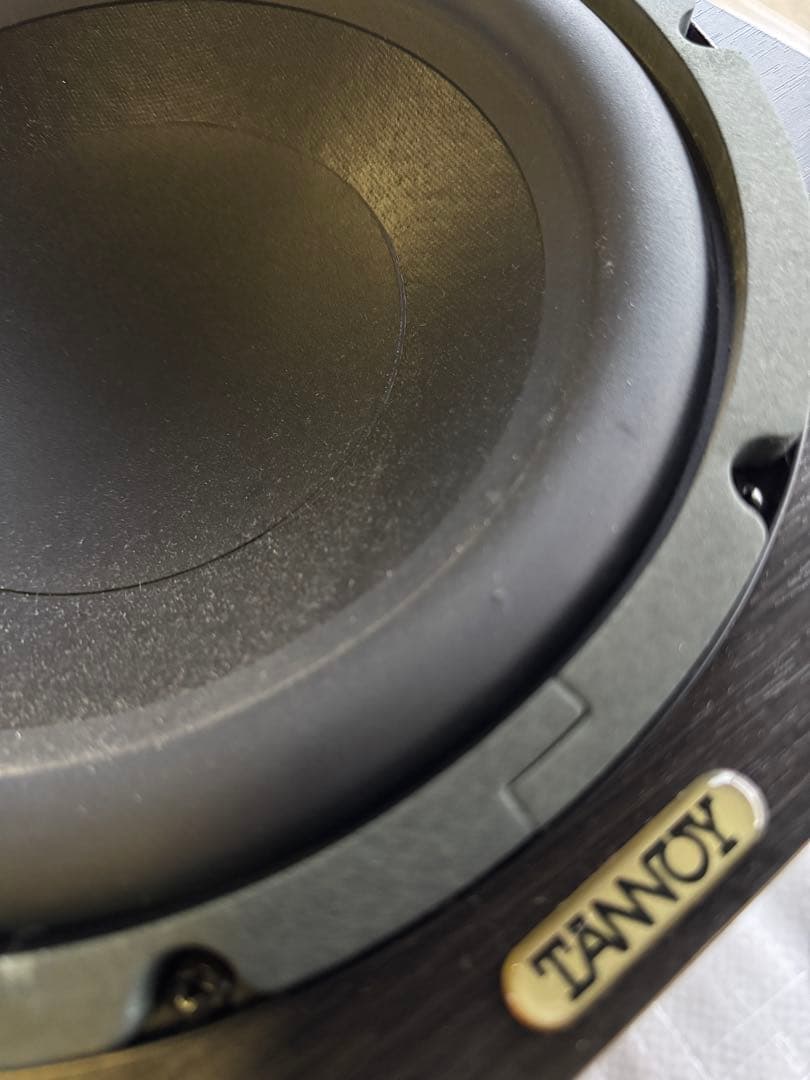 TANNOY タンノイサブウーハー　Mercury mXSUB10