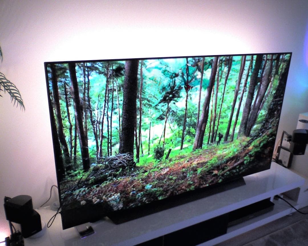 SHARP W-ZERO3 デジカメ付 通信端末 QWERTYキーボード