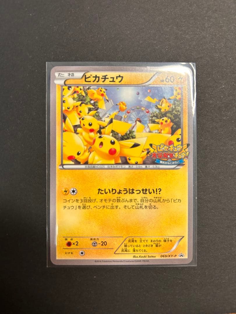 ピカチュウ大量発生チュウ！069