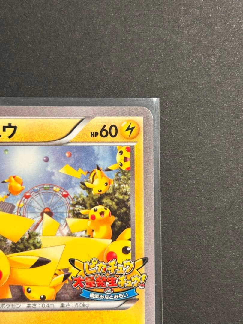 ピカチュウ大量発生チュウ！069