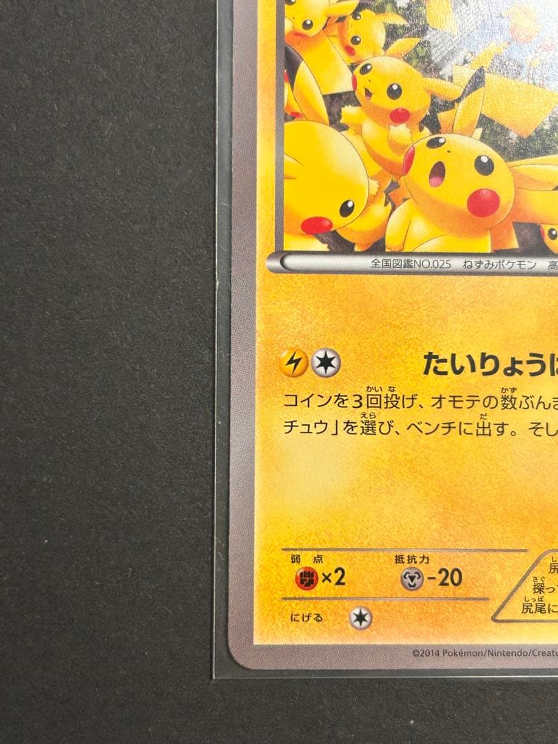 ピカチュウ大量発生チュウ！069