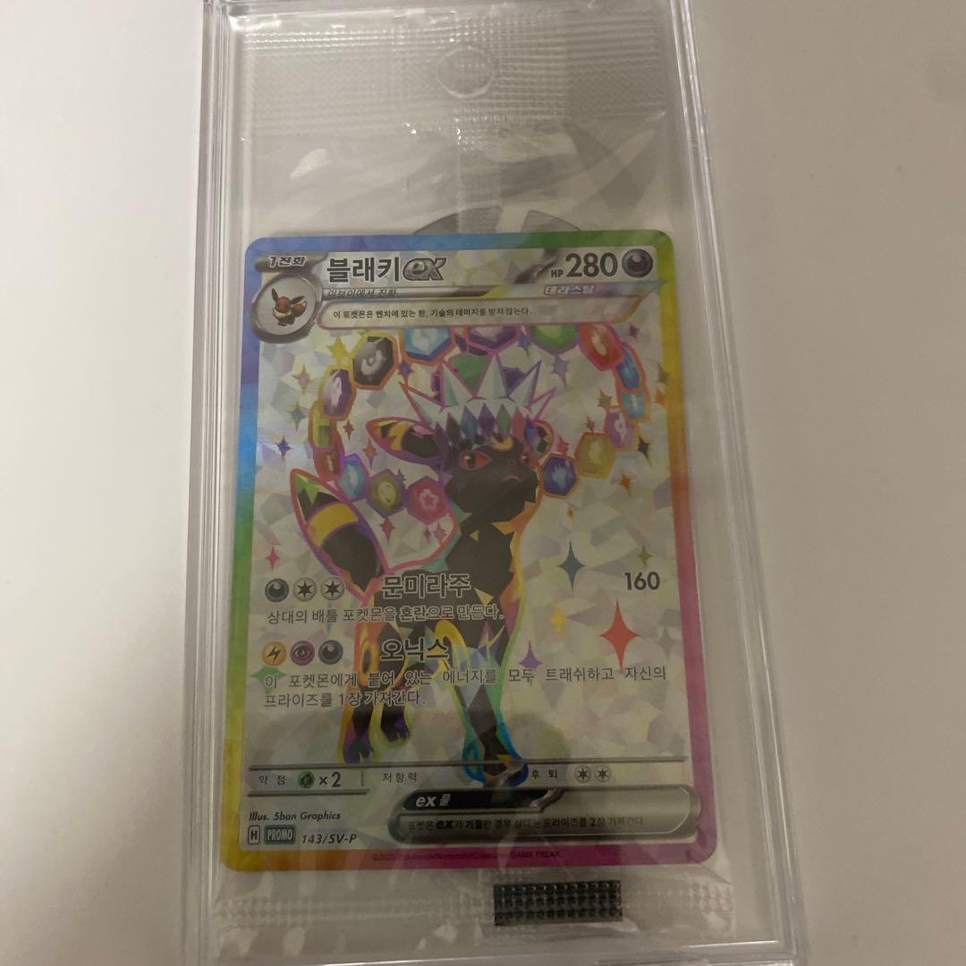 韓国限定　テラスタルフェスex ブラッキー プロモ