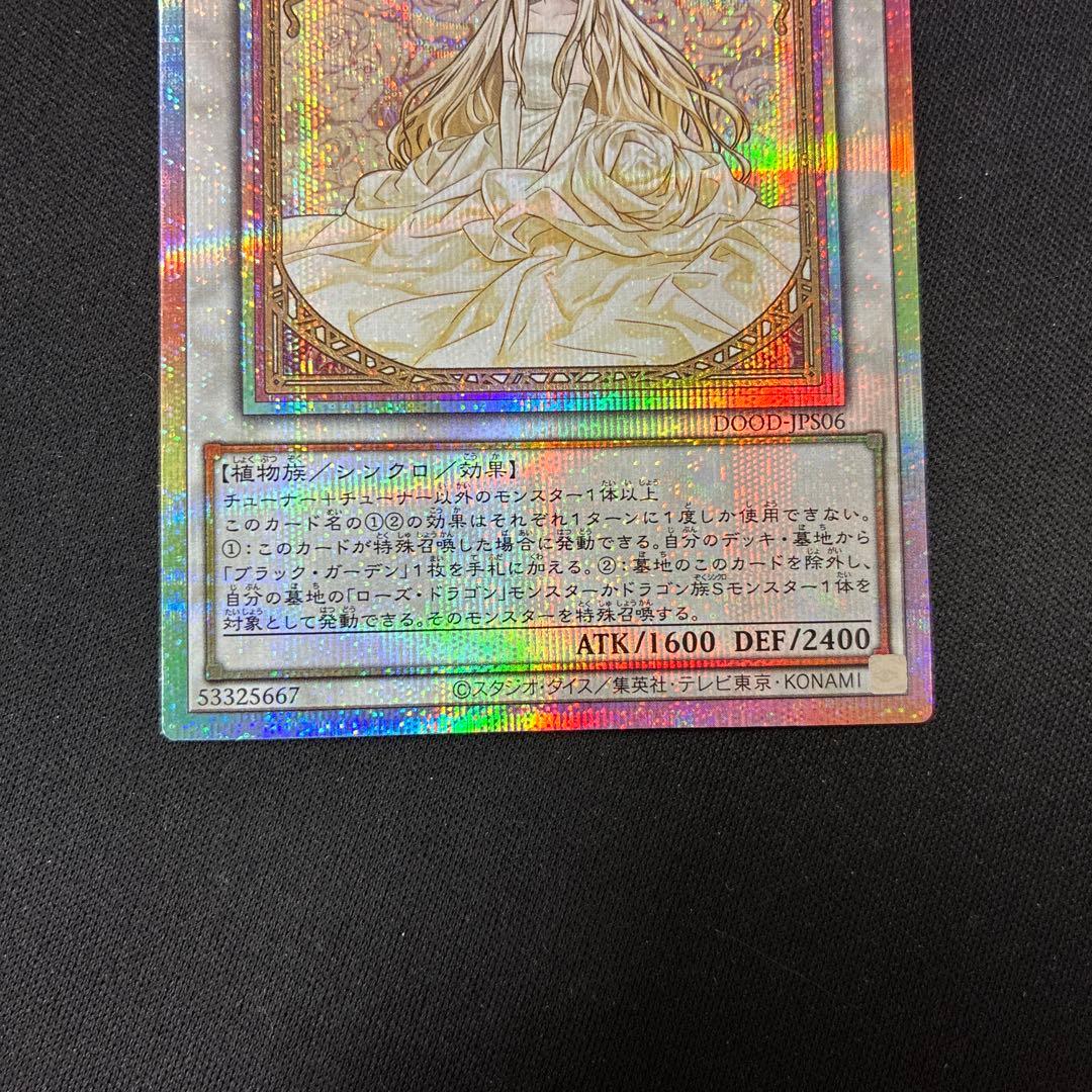 ガーデン・ローズ・メイデン　プリズマ