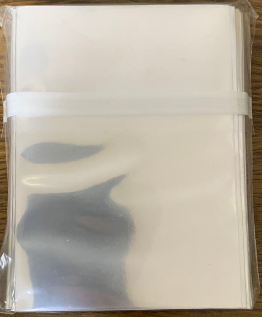 バディファイト　レジェンドワールド　スリーブ