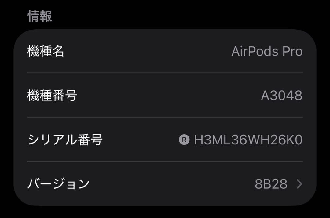 AirPods Pro 第2世代 usb-c 両耳 [69]