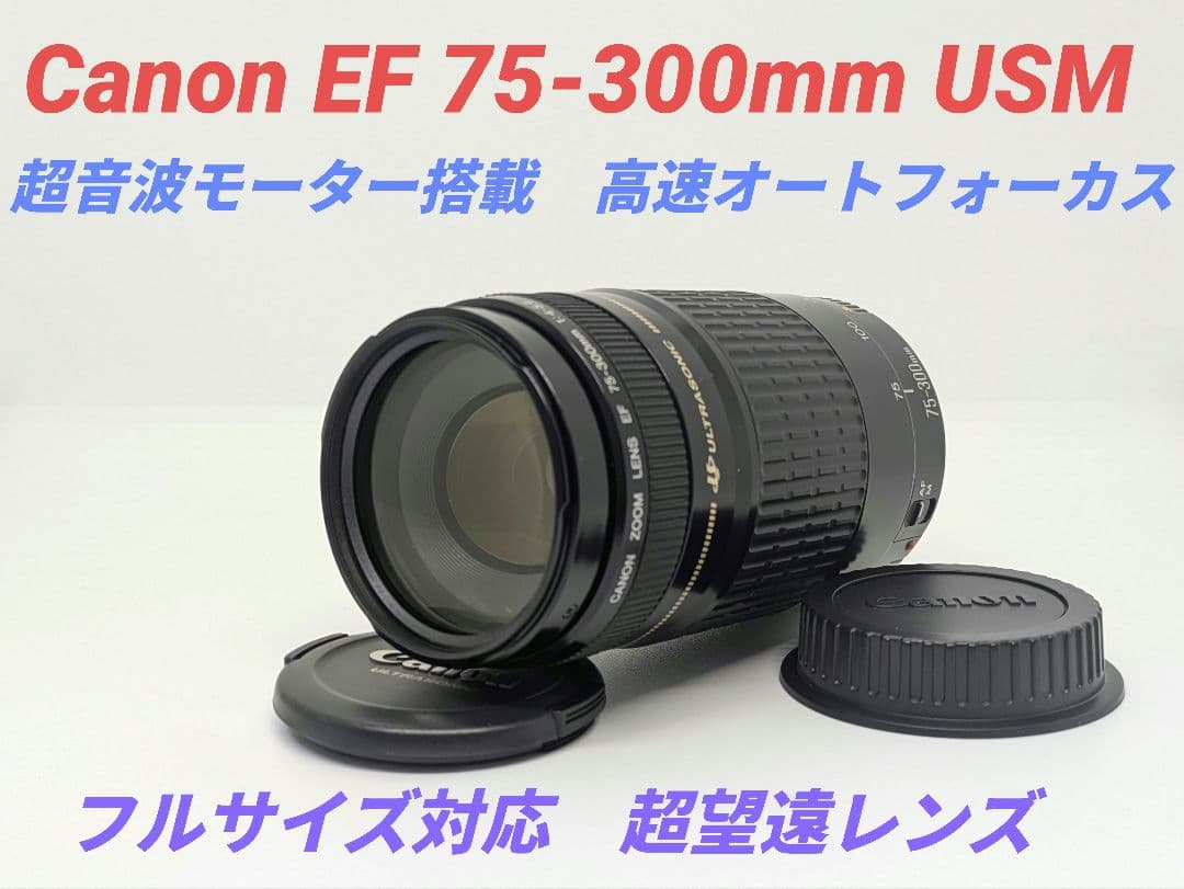3月29日特別価格【超望遠レンズ】Canon EF 75-300mm USM