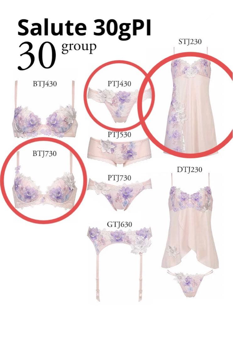 【最安】ワコール サルート 30g PI ブラジャー Tバックショーツ スリップ