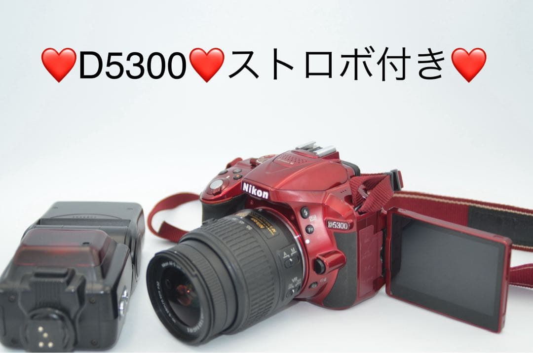NIKON D5300ストロボセット