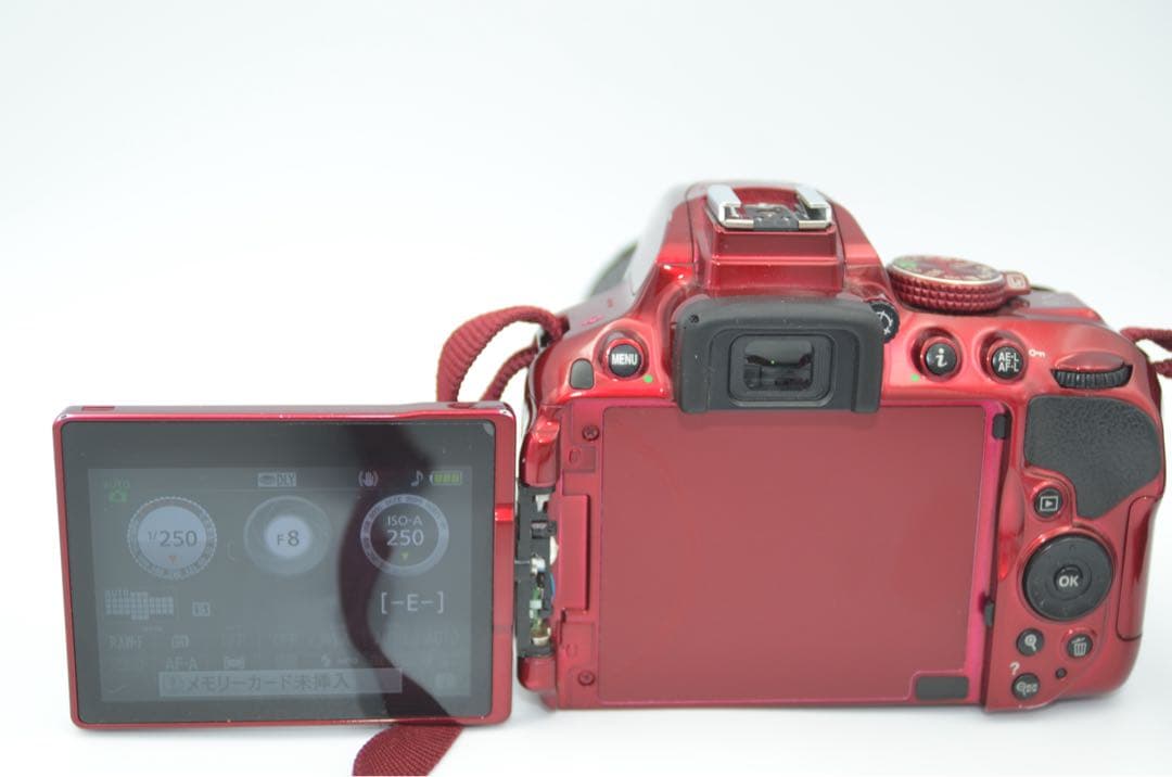 NIKON D5300ストロボセット