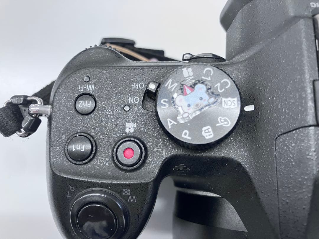 Panasonic LUMIX DMC-FZ1000 デジタルカメラ 中古