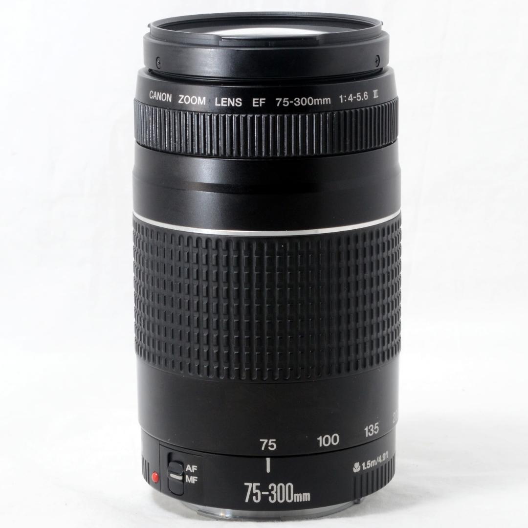 ⭐️実用品⭐️Canon キャノン EF 75-300mm F4-5.6 Ⅲ
