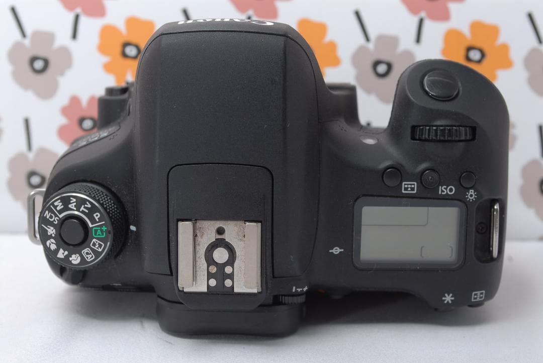 ❤Canon 8000D❤超望遠レンズ❤Wi-Fi搭載でシェア❤一眼レフ❤美品❤