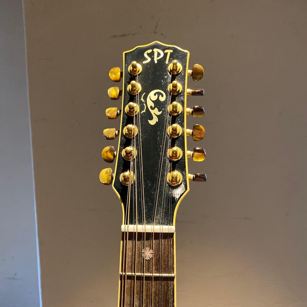アコースティックギター12弦 SPT オマケ付き