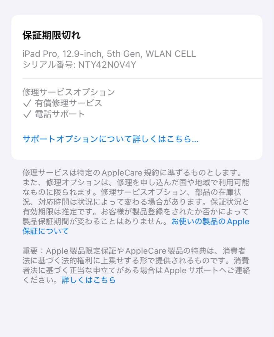 iPad Pro 12.9インチ 第5世代 256GB セルラーキーボードセット