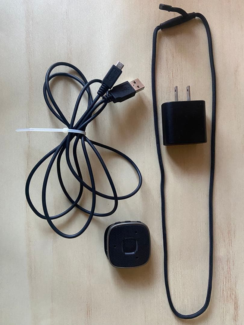 WIDEX ワイデックス　サウンドシステム　充電器とネックストラップ付