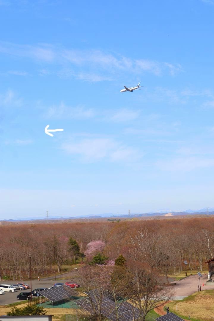 【値下げ】Canon EOS Kiss M、超広角レンズ 、高級フィルター他