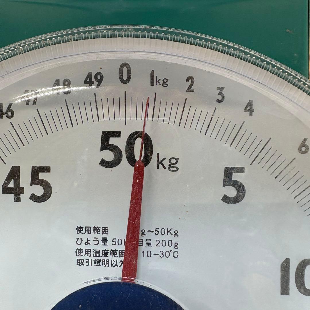 海松　深海松　レインボーコーラル　置物　素材