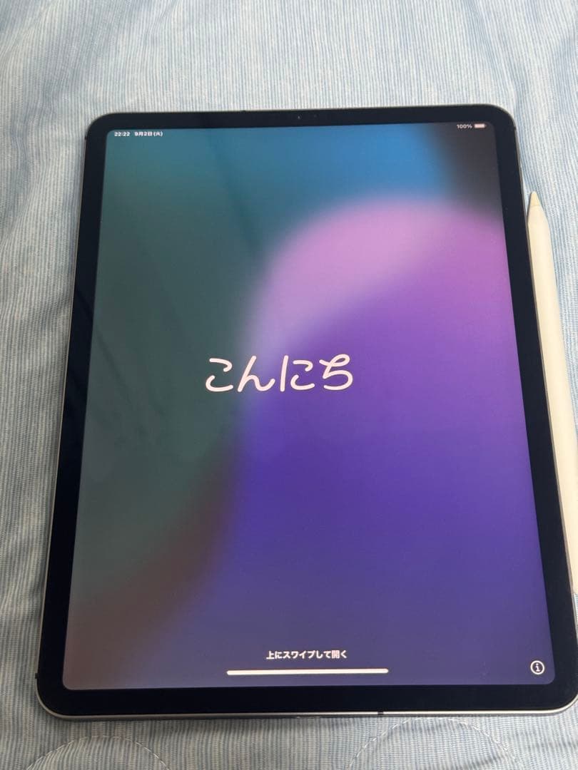 iPad Pro 11 第1世代 256GB Wi-Fi + Cellular