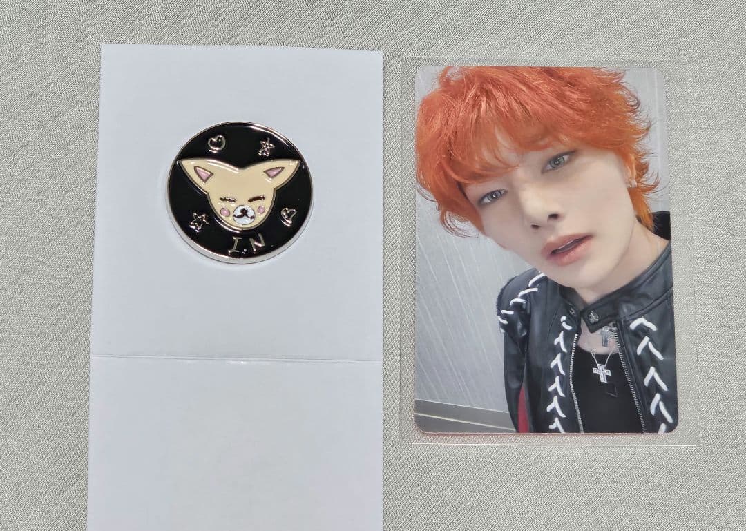 2/1 スキズ 幕張 オフイベ 会場限定トレカ　アイエン 展覧会 ピンバッジ