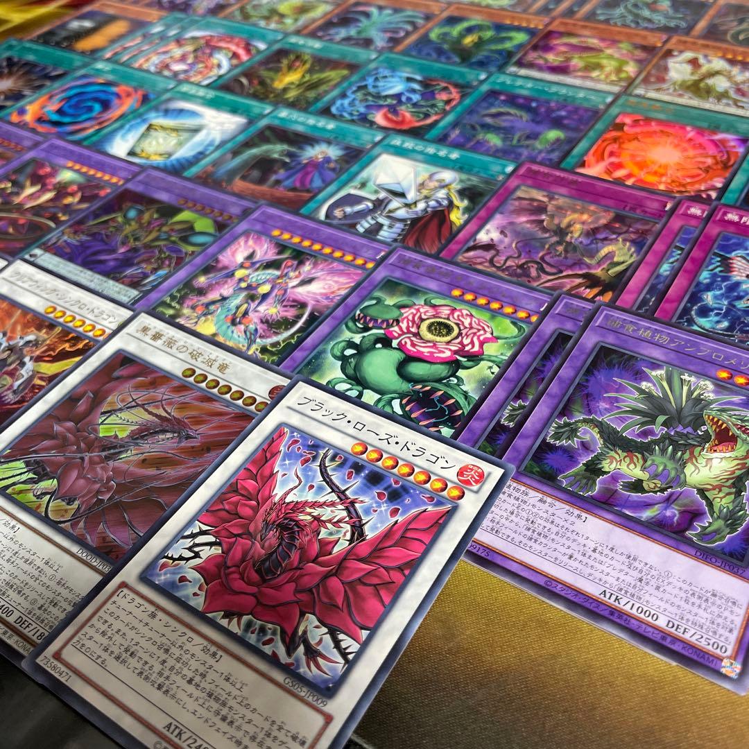 本格構築 捕食植物デッキ プレデタープランツデッキ 血樹竜姫ドラセリア