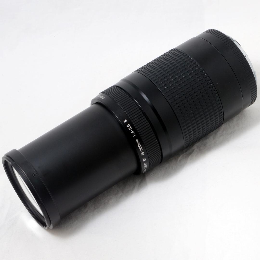 ★良品★Canon キャノン EF 75-300mm F4-5.6 Ⅱ