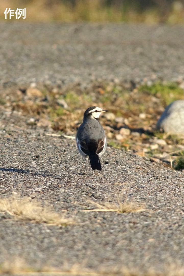 美品　SONY α57 デジタル一眼カメラ