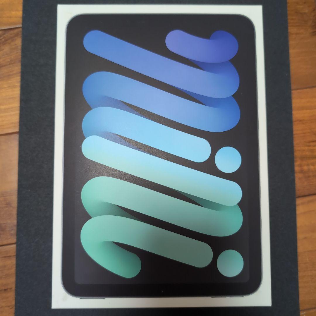 iPad mini (A17 Pro 第7世代) スペースグレー 本体＋おまけ