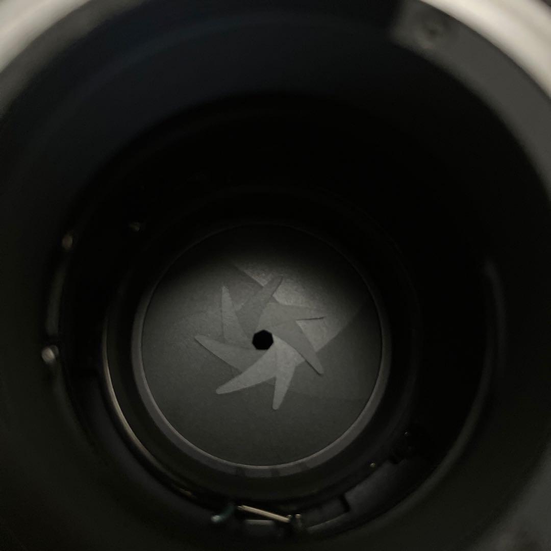 良品Tokina AT-X SD 300mm f2.8 (Fマウント) 作例あり