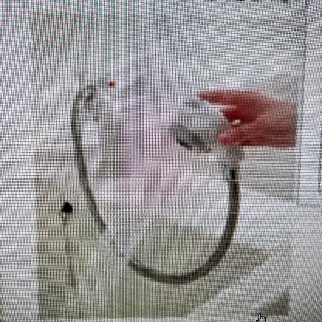 TOTO PFS1400CWR 二槽式幼児用バス　ホワイト