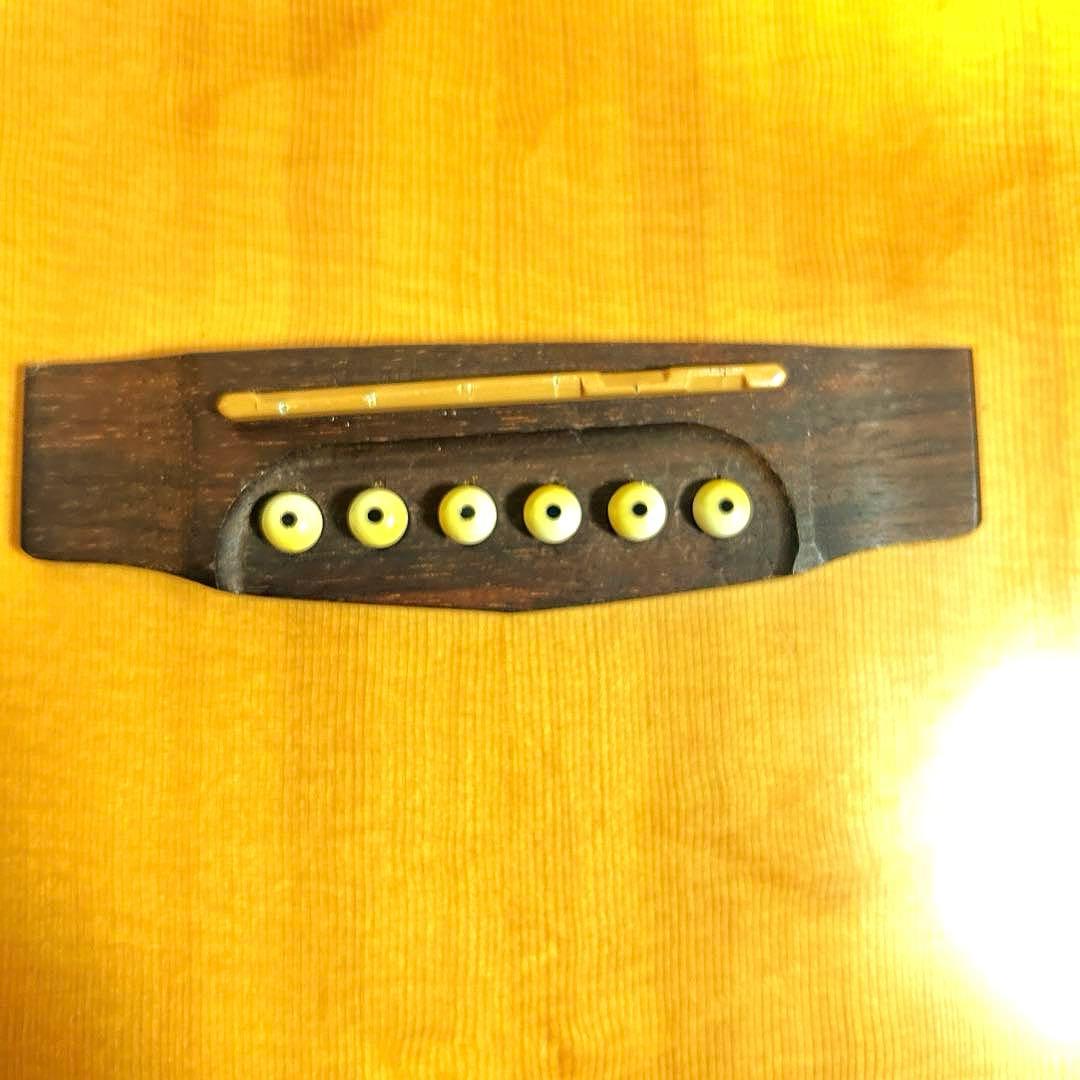 ギター cort Earth MINI